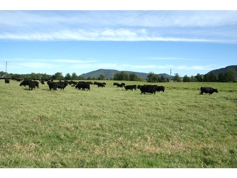 591 Fishers Hill Road, Gresford NSW 2311