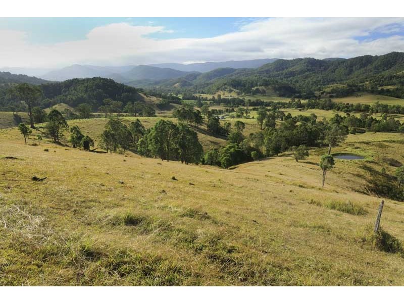 2386 Salisbury Road, Dungog NSW 2420