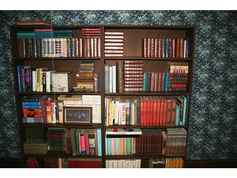 Clearing Sale Violet Hill Verge Street, Dungog NSW 2420