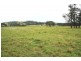 Lot 21, 1397 Dungog Road, Dungog NSW 2420