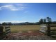 Lot 21, 1397 Dungog Road, Dungog NSW 2420