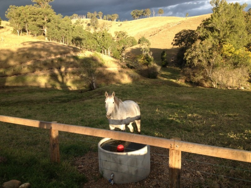 1962 Allyn River Road, Gresford NSW 2311