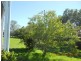 Dungog NSW 2420