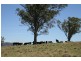 800 Allyn River Road, Gresford NSW 2311