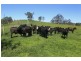 172 Hanleys Creek Road, Dungog NSW 2420