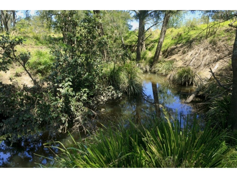 172 Hanleys Creek Road, Dungog NSW 2420