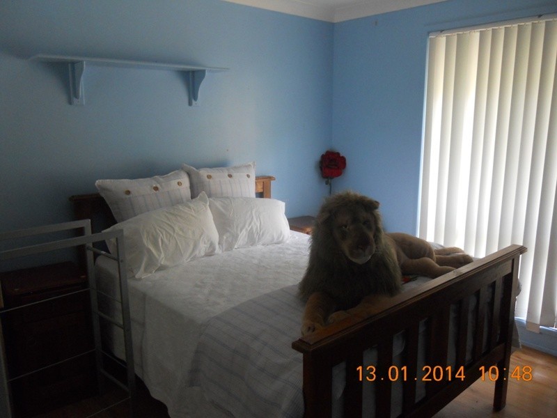 Clarence Town NSW 2321