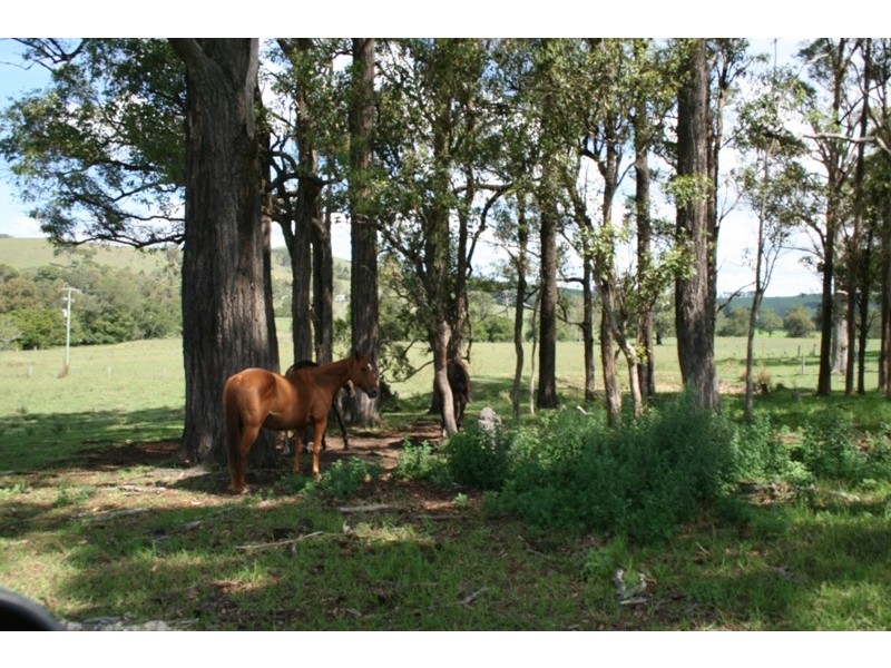 Lot 15 Wallarobba/Brookfield Road, Dungog NSW 2420