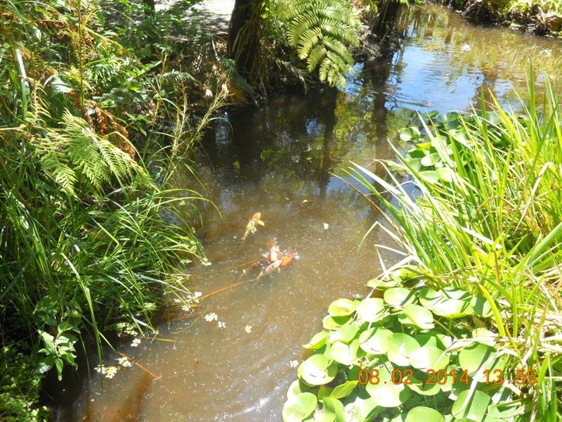 62/2129 Nelson Bay Road, Williamtown NSW 2318