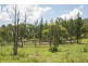 Clarence Town NSW 2321