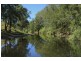 491 Allyn River Road, East Gresford NSW 2311