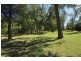 491 Allyn River Road, East Gresford NSW 2311