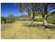 491 Allyn River Road, East Gresford NSW 2311