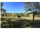 491 Allyn River Road, East Gresford NSW 2311