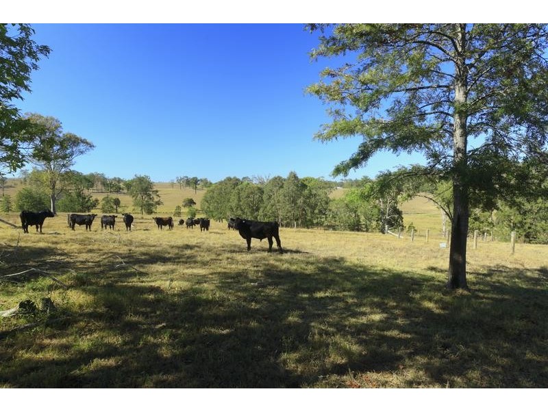 491 Allyn River Road, East Gresford NSW 2311