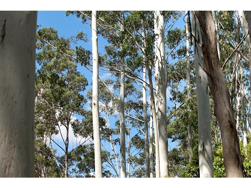 Lot 1 Limeburners Creek Road, Clarence Town NSW 2321