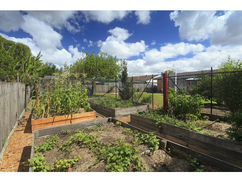 5 Cooreei Place, Dungog NSW 2420