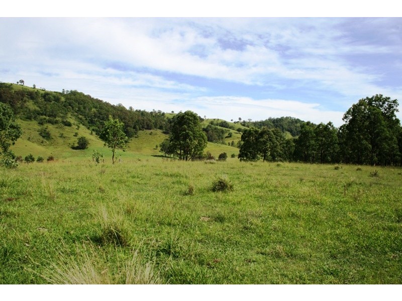 Lot 1 Bingleburra Road, Dungog NSW 2420