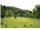 Lot 1 Bingleburra Road, Dungog NSW 2420