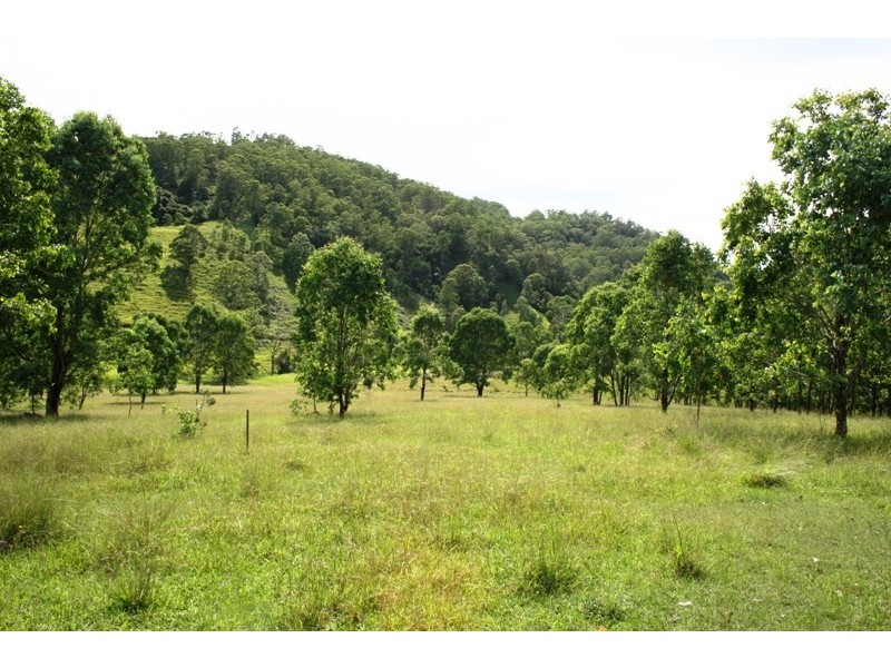 Lot 1 Bingleburra Road, Dungog NSW 2420