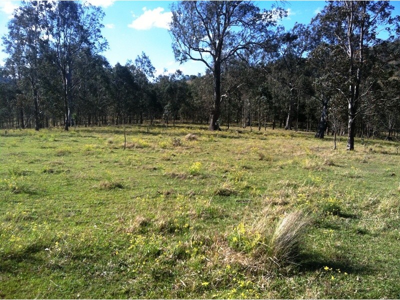 Lot 1 Bingleburra Road, Dungog NSW 2420