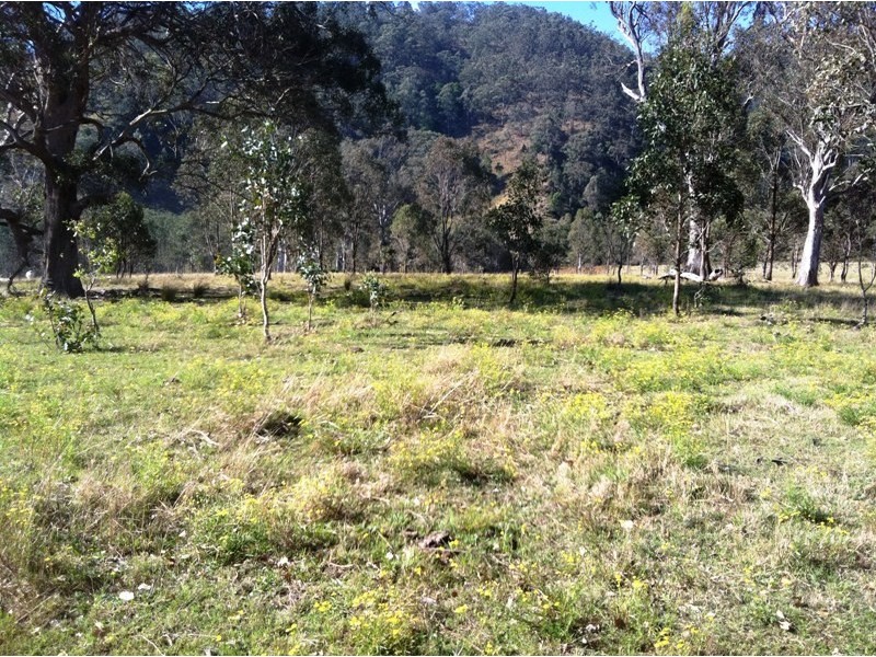 Lot 1 Bingleburra Road, Dungog NSW 2420