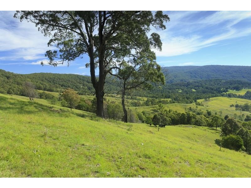 24 Sheltons Road, Dungog NSW 2420