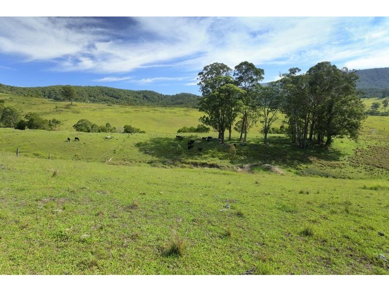 24 Sheltons Road, Dungog NSW 2420