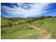 24 Sheltons Road, Dungog NSW 2420