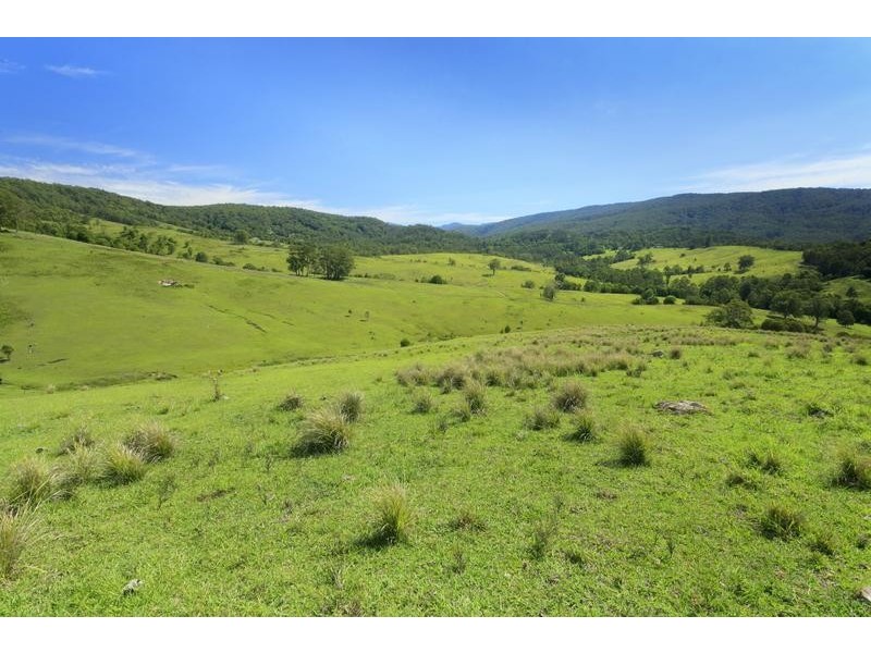 24 Sheltons Road, Dungog NSW 2420