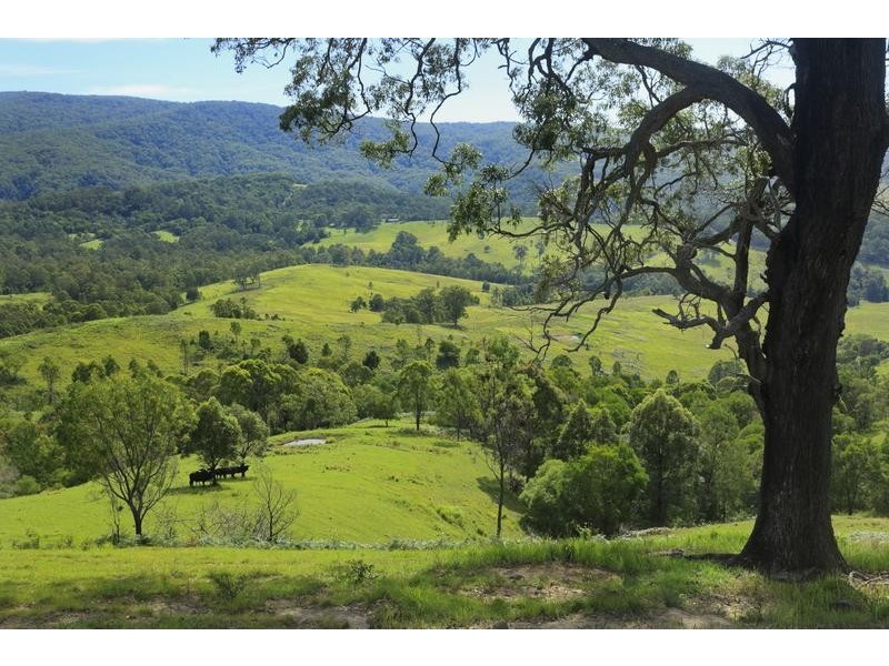 24 Sheltons Road, Dungog NSW 2420