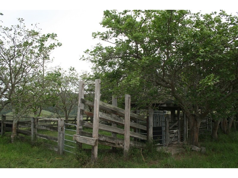 144 & 146 Heatherbrae Road, Dungog NSW 2420