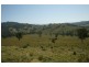 Masseys Creek Road, Gresford NSW 2311