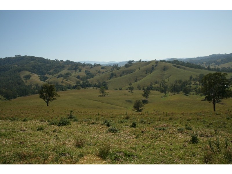 Masseys Creek Road, Gresford NSW 2311