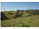 Masseys Creek Road, Gresford NSW 2311