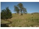 Masseys Creek Road, Gresford NSW 2311