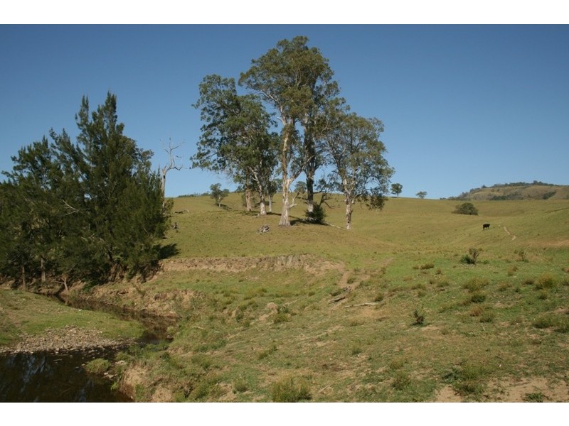 Masseys Creek Road, Gresford NSW 2311