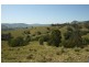 Masseys Creek Road, Gresford NSW 2311