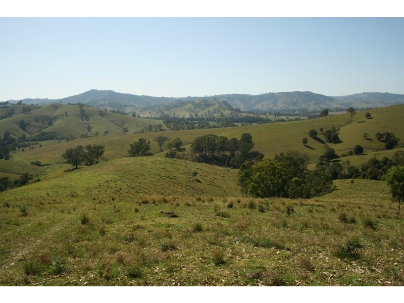 Masseys Creek Road, Gresford NSW 2311