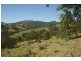 Masseys Creek Road, Gresford NSW 2311