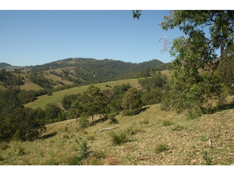 Masseys Creek Road, Gresford NSW 2311