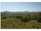 Masseys Creek Road, Gresford NSW 2311