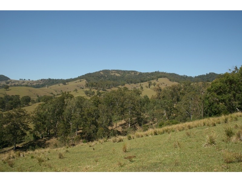 Masseys Creek Road, Gresford NSW 2311