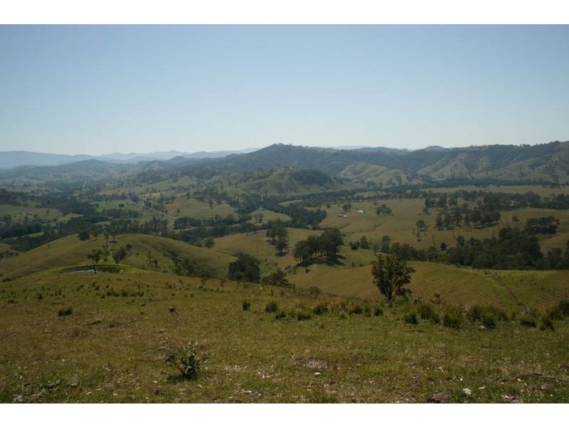 Masseys Creek Road, Gresford NSW 2311