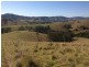 Masseys Creek Road, Gresford NSW 2311