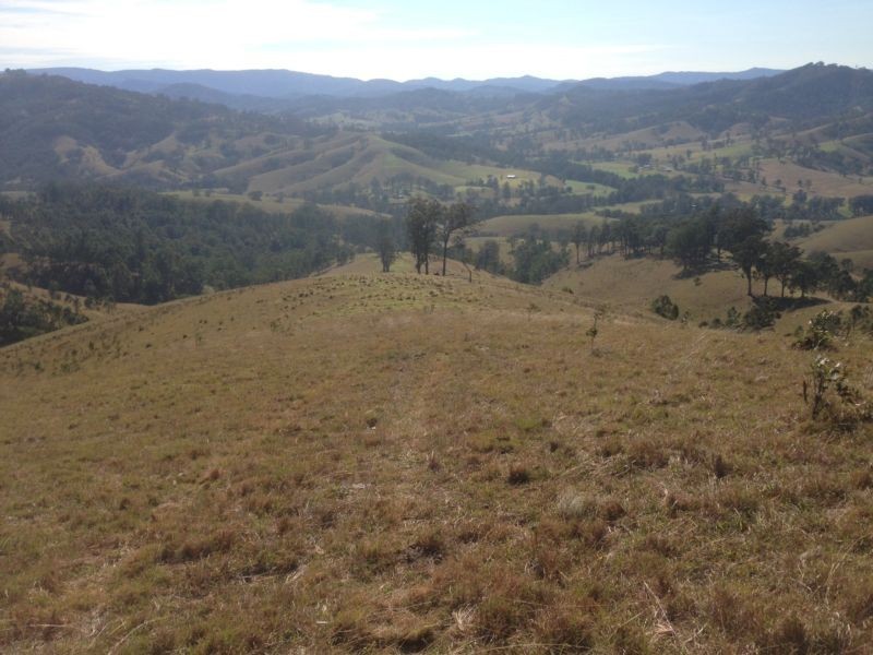 Masseys Creek Road, Gresford NSW 2311