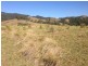 Masseys Creek Road, Gresford NSW 2311