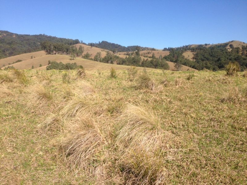 Masseys Creek Road, Gresford NSW 2311