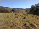 Masseys Creek Road, Gresford NSW 2311