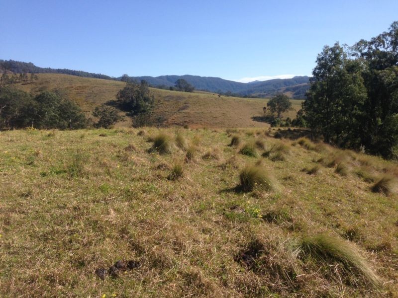 Masseys Creek Road, Gresford NSW 2311